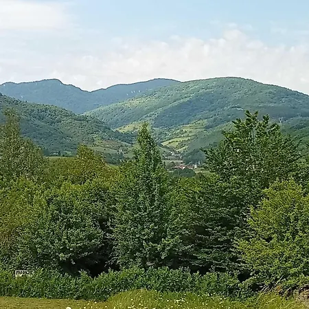 Forest Hillside Tarcin Willa Cicke