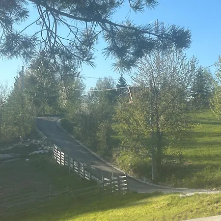 Forest Hillside Tarcin Willa
